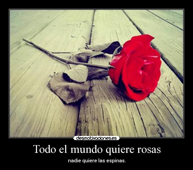 Todo el mundo quiere rosas -