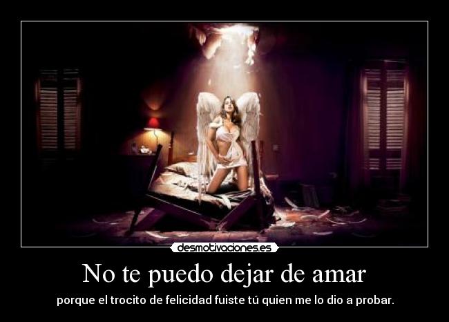 No te puedo dejar de amar - porque el trocito de felicidad fuiste tú quien me lo dio a probar.