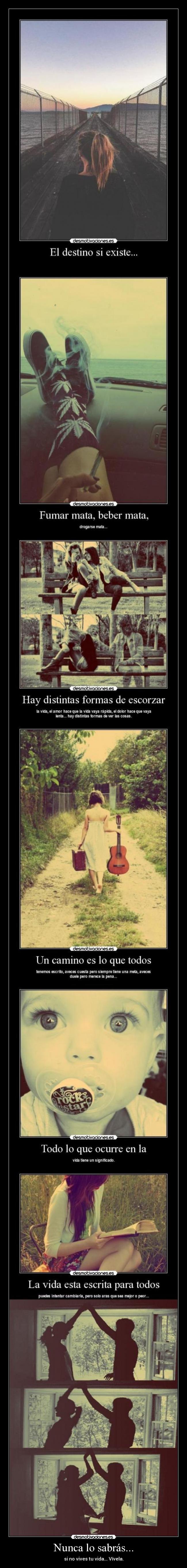 Nunca lo sabrás... - si no vives tu vida... Vívela.