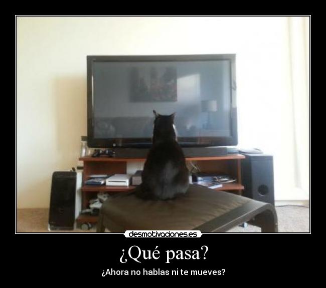 ¿Qué pasa? - 