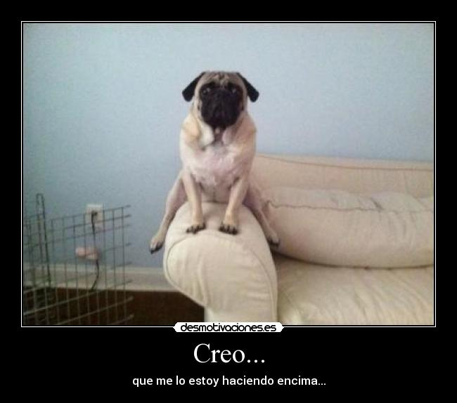 Creo... -