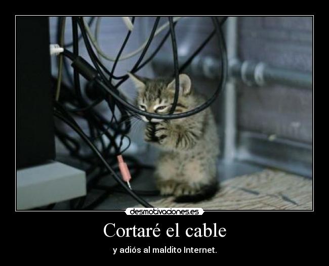Cortaré el cable - 