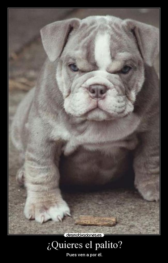 ¿Quieres el palito? - 