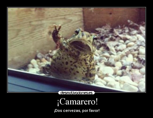 ¡Camarero! -