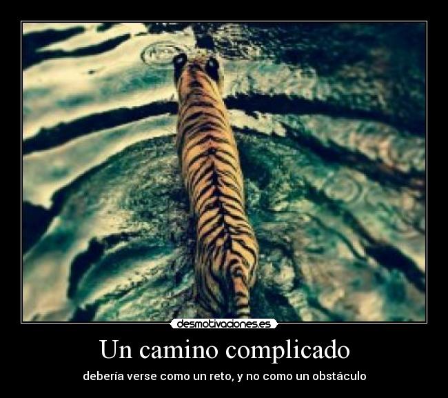 carteles camino complicado ver reto obstaculo ely desmotivaciones