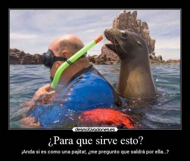 carteles para desmotivaciones