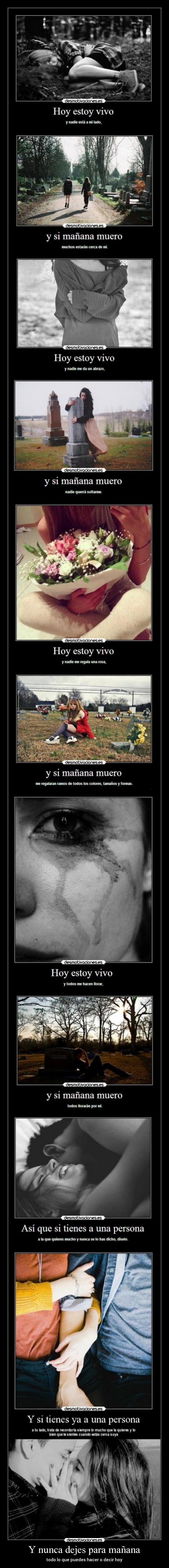 Y nunca dejes para mañana - 