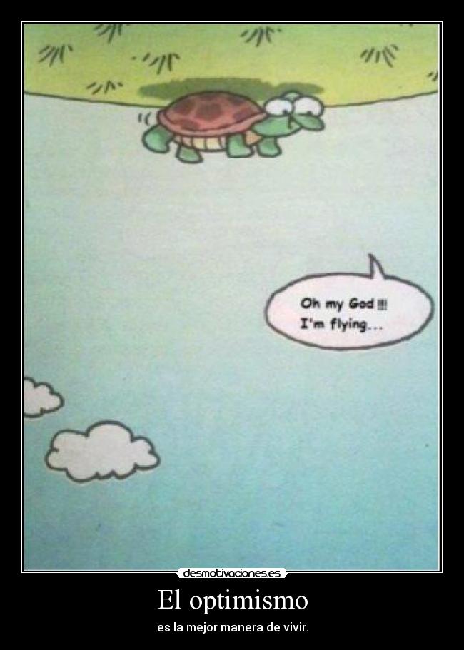 carteles optimismo tortuga volar etc lolsomething desmotivaciones