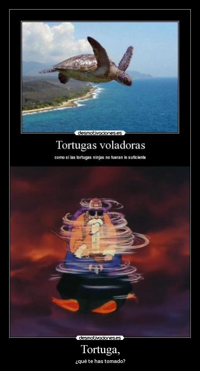 Tortuga, - 