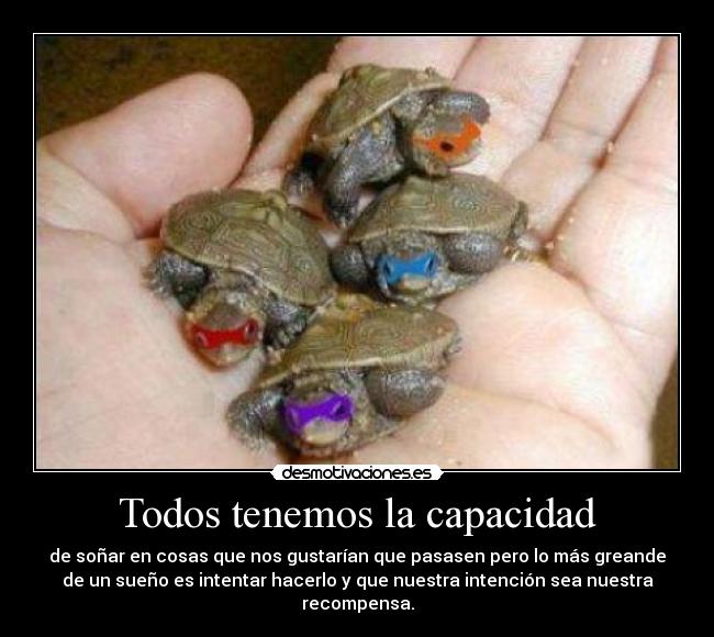 carteles las tortugas ninja desmotivaciones