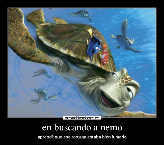 en buscando a nemo - aprendí: que esa tortuga estaba bien fumada