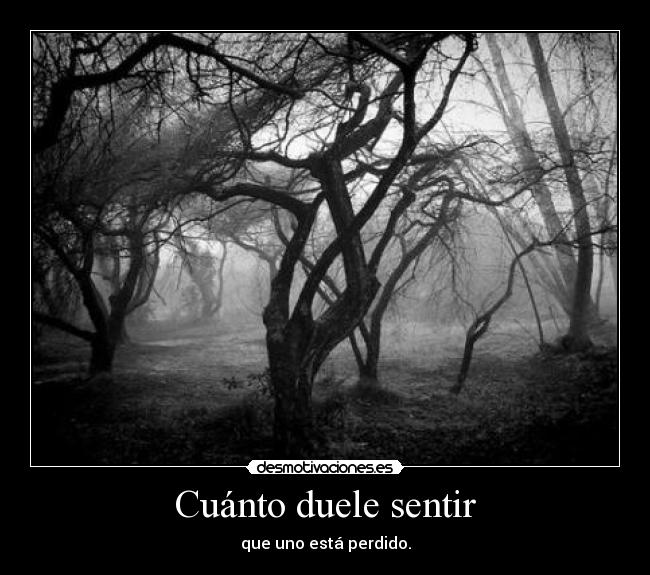 Cuánto duele sentir -