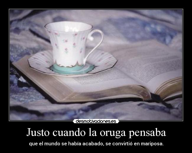 Justo cuando la oruga pensaba - que el mundo se había acabado, se convirtió en mariposa.