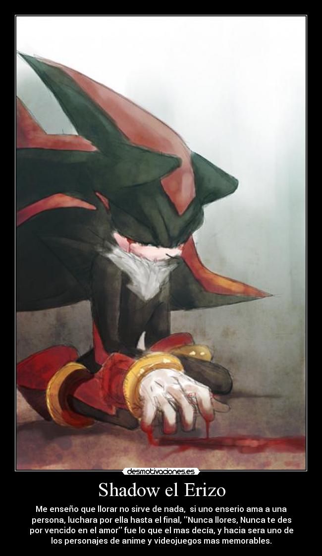 Shadow el Erizo - Me enseño que llorar no sirve de nada, si uno enserio ama a una
persona, luchara por ella hasta el final, Nunca llores, Nunca te des
por vencido en el amor fue lo que el mas decía, y hacia sera uno de
los personajes de anime y videojuegos mas memorables.