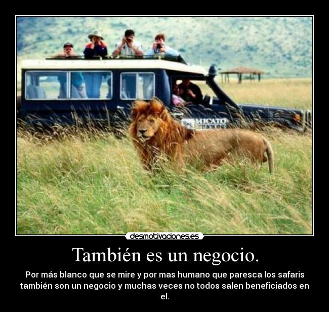 También es un negocio. - Por más blanco que se mire y por mas humano que paresca los safaris
también son un negocio y muchas veces no todos salen beneficiados en
el.