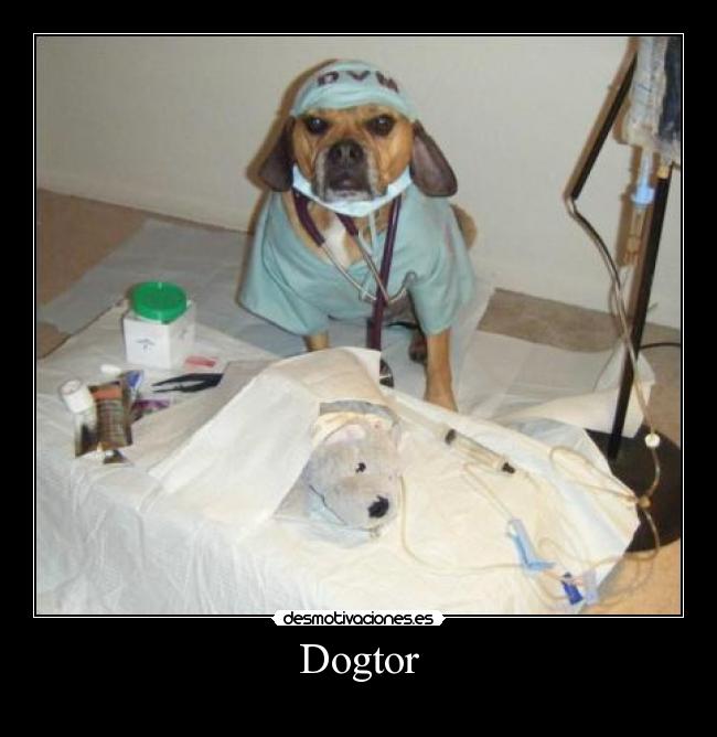 Dogtor - 