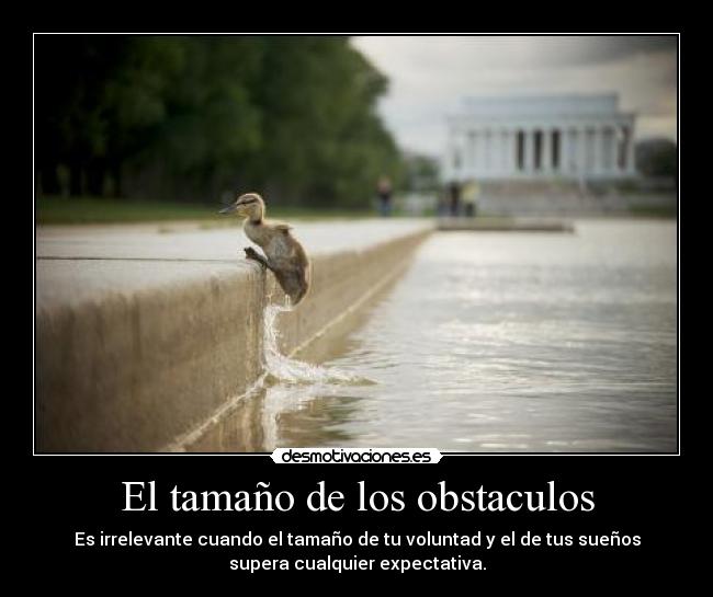 carteles obstaculos radeo adel just dream desmotivaciones