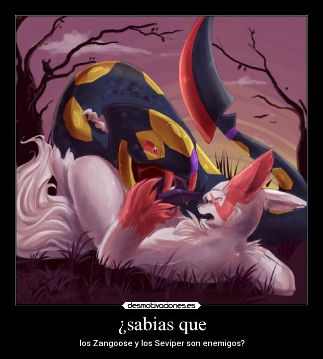 ¿sabias que - los Zangoose y los Seviper son enemigos?