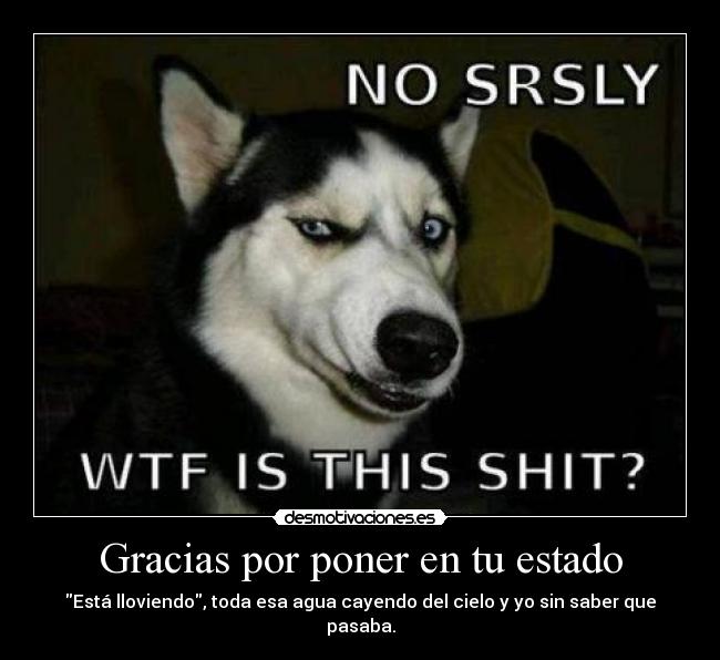 Gracias por poner en tu estado - Está lloviendo, toda esa agua cayendo del cielo y yo sin saber que pasaba.