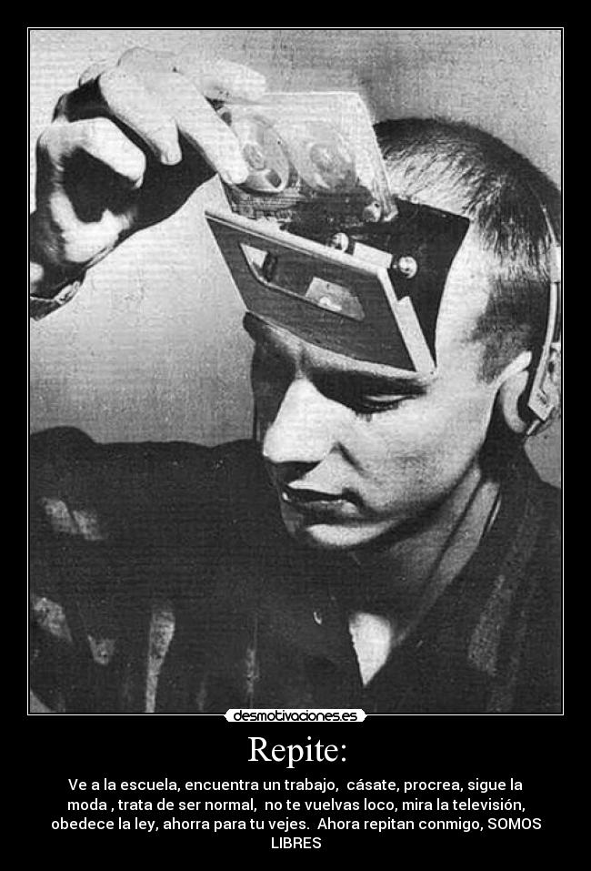 carteles repitelo desmotivaciones