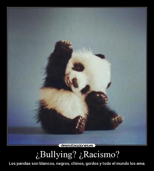 ¿Bullying? ¿Racismo? - 