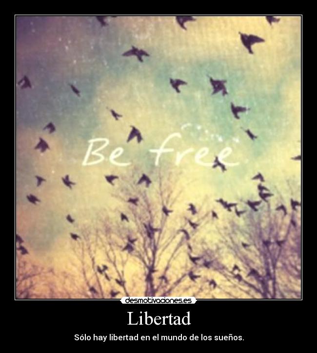Libertad - Sólo hay libertad en el mundo de los sueños.