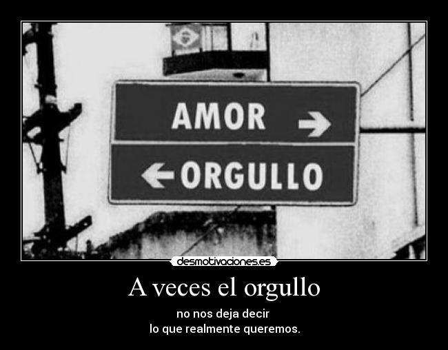 carteles orgullo desmotivaciones