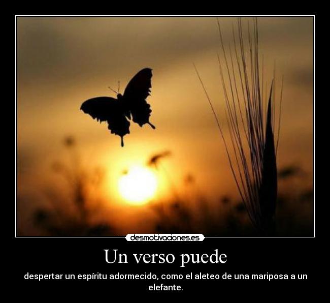 carteles una que enciende hasta con aleteo una mariposa xdddd mkay bye desmotivaciones