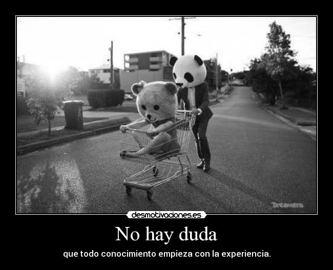 carteles todo conocimiento empieza con experiencia desmotivaciones