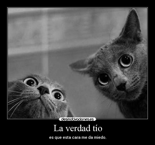 carteles vaaya carteles mas malos pero bueh bad days desmotivaciones