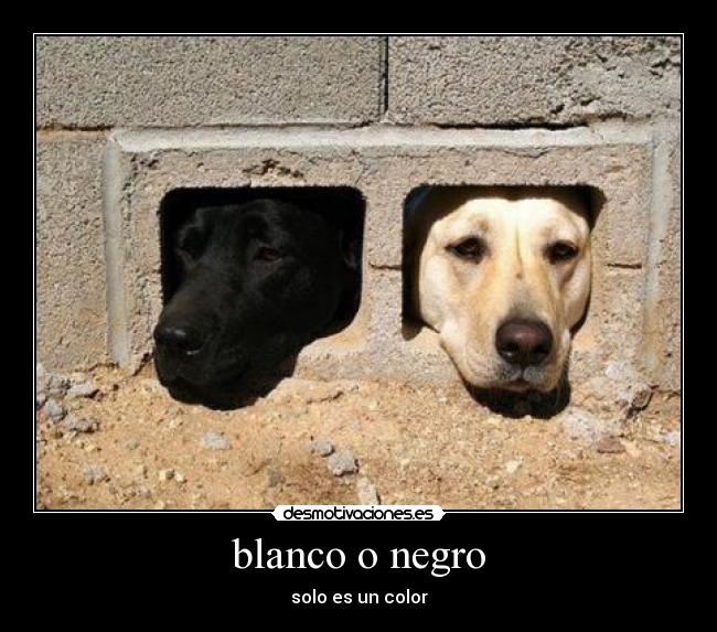 blanco o negro - solo es un color