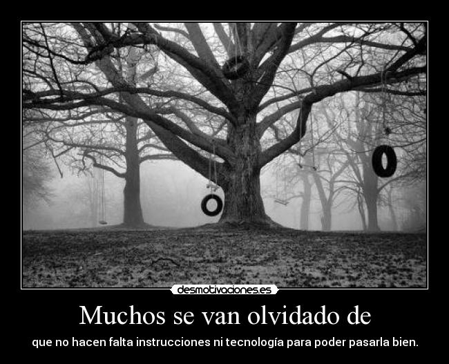 carteles ultimo olvidara xappaa kareen desmotivaciones