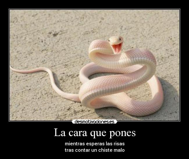 La cara que pones - mientras esperas las risas
tras contar un chiste malo