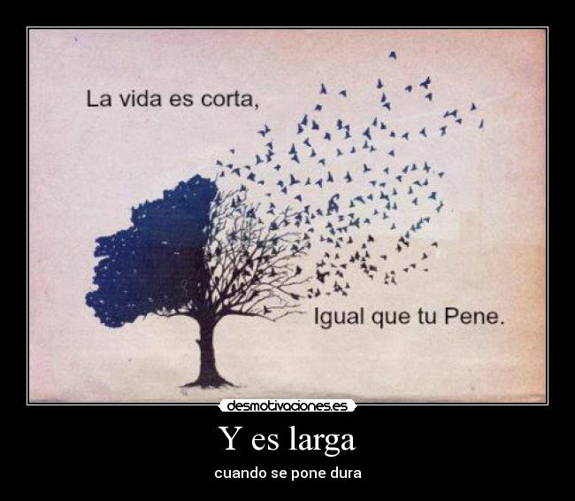 Y es larga -