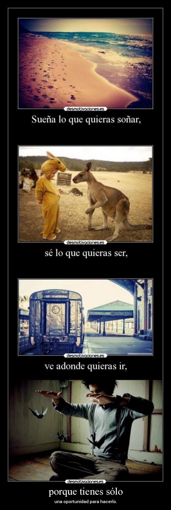 porque tienes sólo -