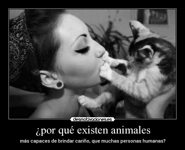 ¿por qué existen animales - 