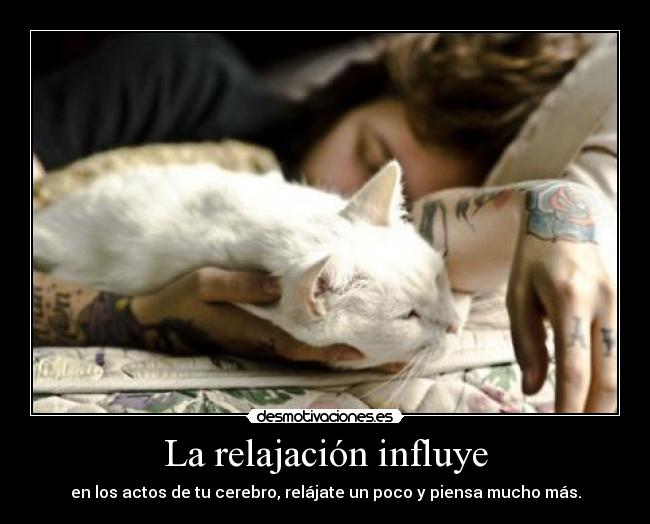 carteles directionerloveforever desmotivaciones