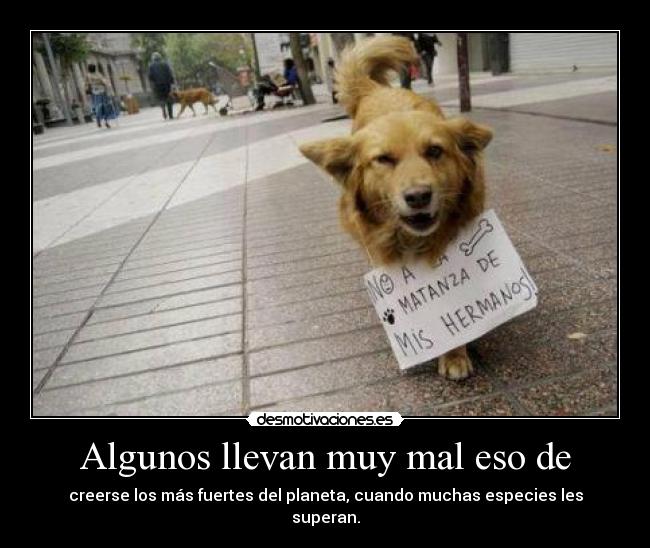 Algunos llevan muy mal eso de - creerse los más fuertes del planeta, cuando muchas especies les superan.