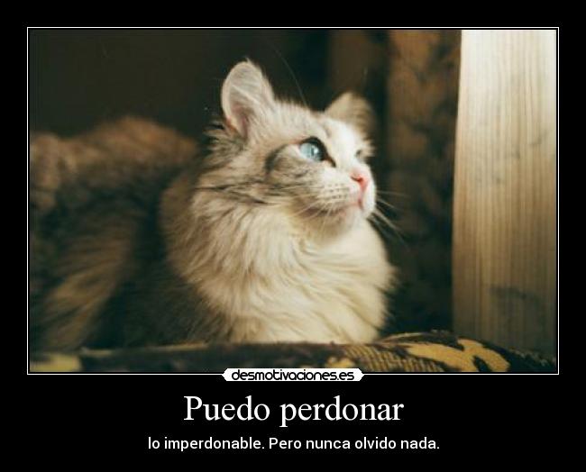 Puedo perdonar - lo imperdonable. Pero nunca olvido nada.