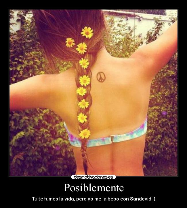 carteles sandevid desmotivaciones