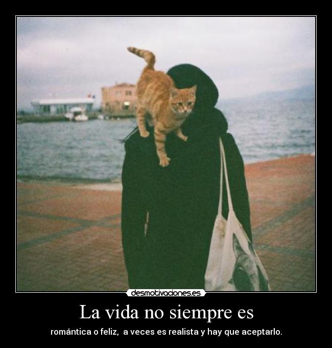 La vida no siempre es - romántica o feliz, a veces es realista y hay que aceptarlo.