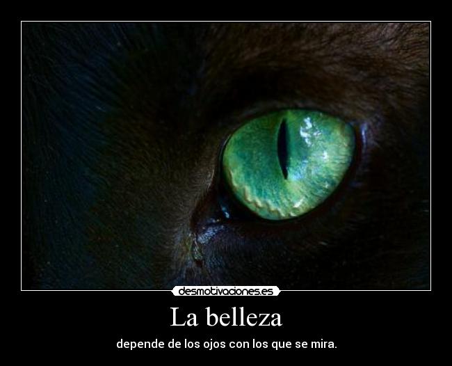 La belleza -