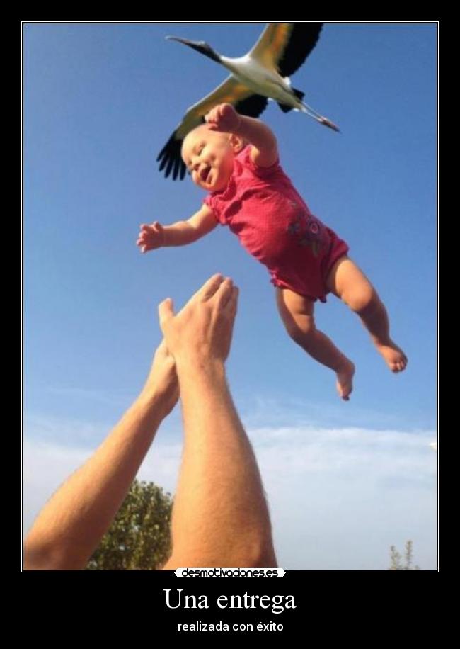 Una entrega - realizada con éxito