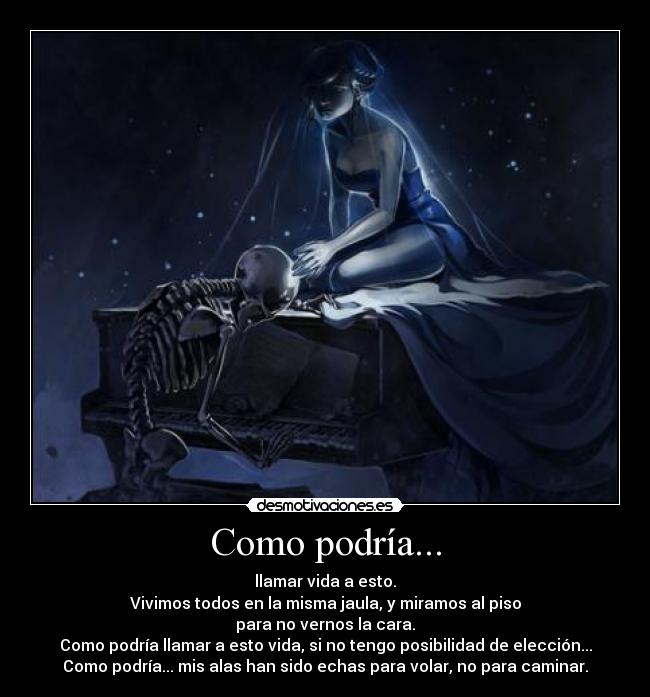 Como podría... - llamar vida a esto.
Vivimos todos en la misma jaula, y miramos al piso
para no vernos la cara.
Como podría llamar a esto vida, si no tengo posibilidad de elección...
Como podría... mis alas han sido echas para volar, no para caminar.