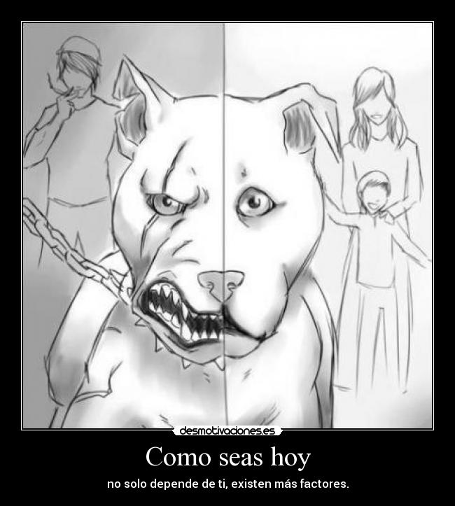 carteles maltratocero echo menos desmotivaciones