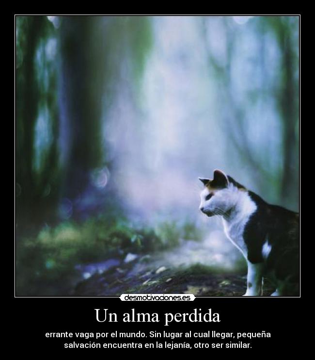 Un alma perdida -