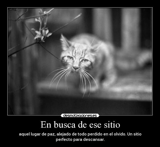 En busca de ese sitio -