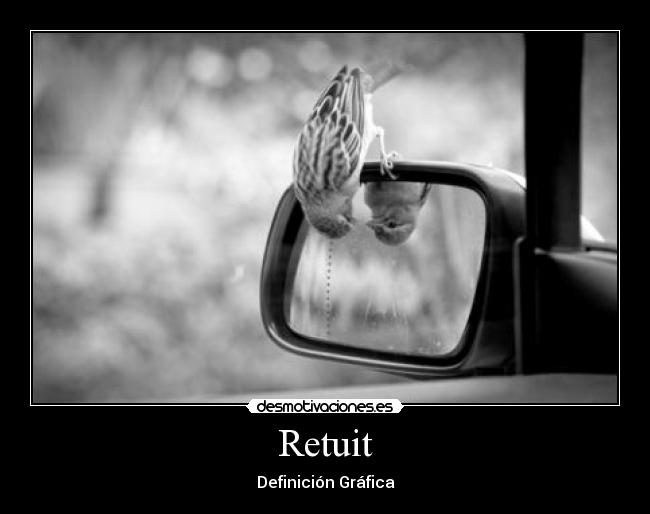 Retuit - Definición Gráfica