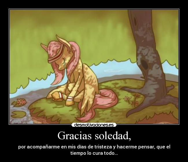 Gracias soledad, - por acompañarme en mis días de tristeza y hacerme pensar, que el
tiempo lo cura todo...