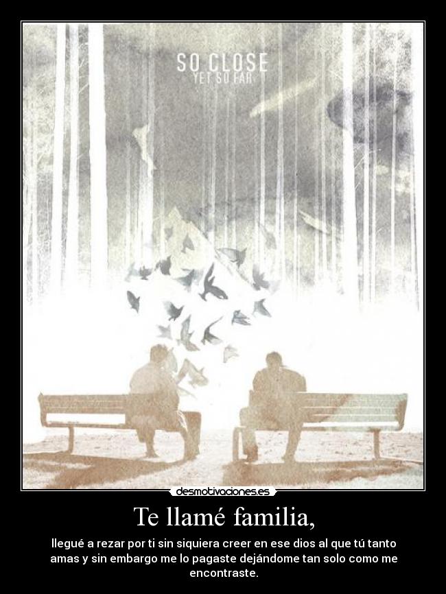 Te llamé familia, - llegué a rezar por ti sin siquiera creer en ese dios al que tú tanto
amas y sin embargo me lo pagaste dejándome tan solo como me
encontraste.